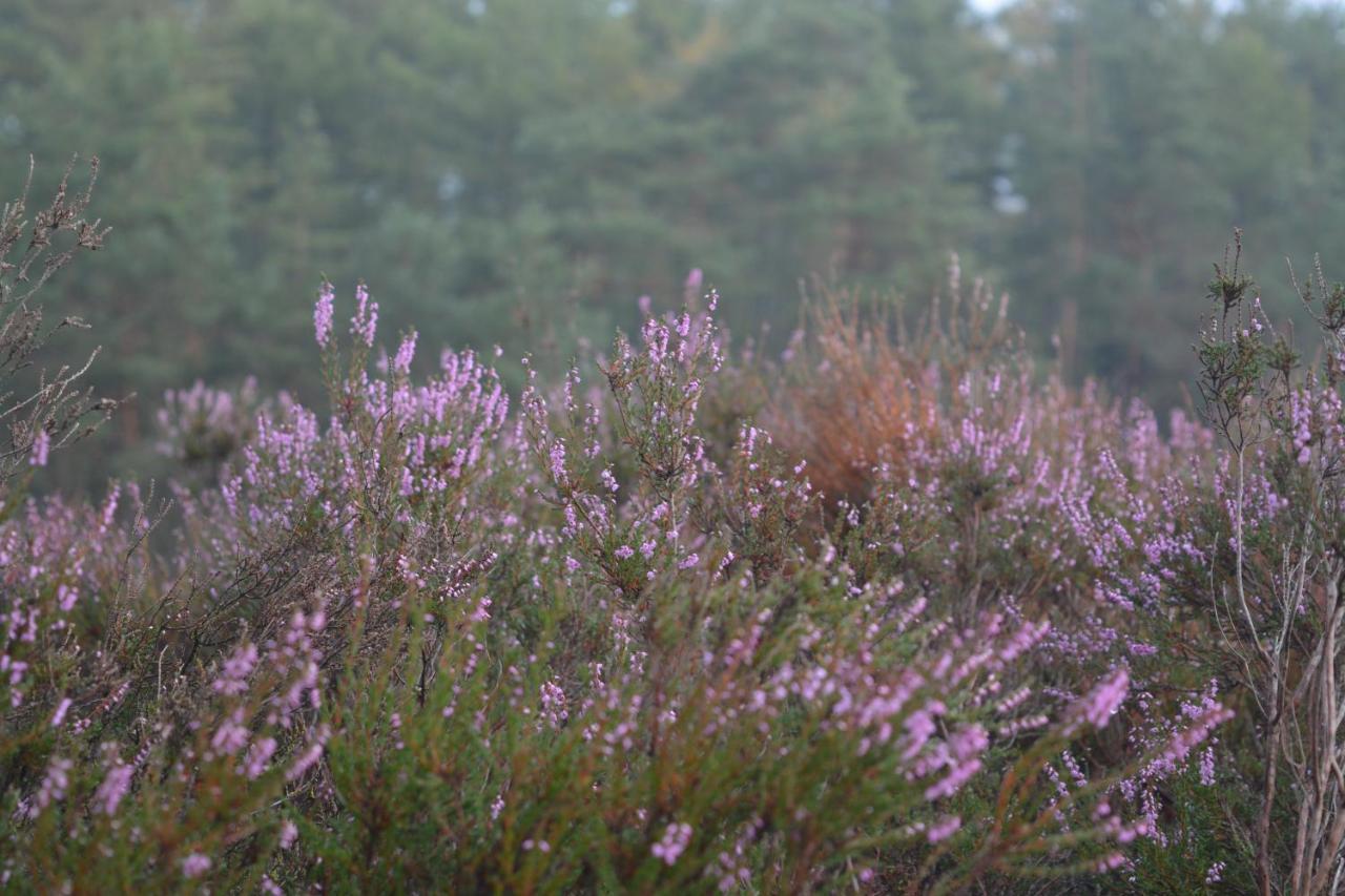 B&B De Loenense Bossen المظهر الخارجي الصورة
