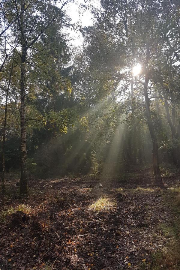 B&B De Loenense Bossen المظهر الخارجي الصورة