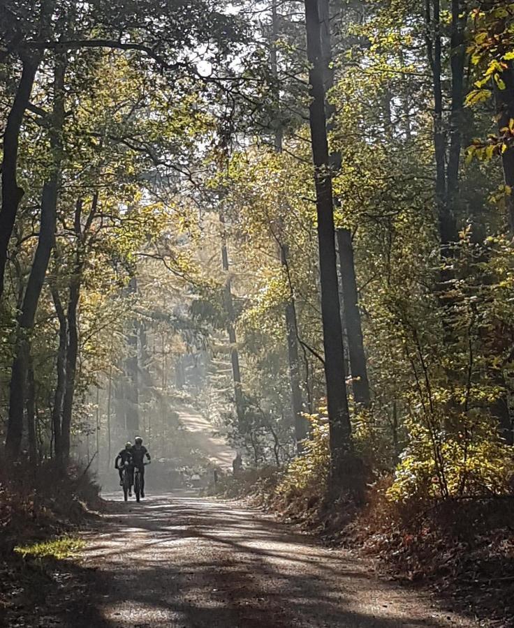 B&B De Loenense Bossen المظهر الخارجي الصورة