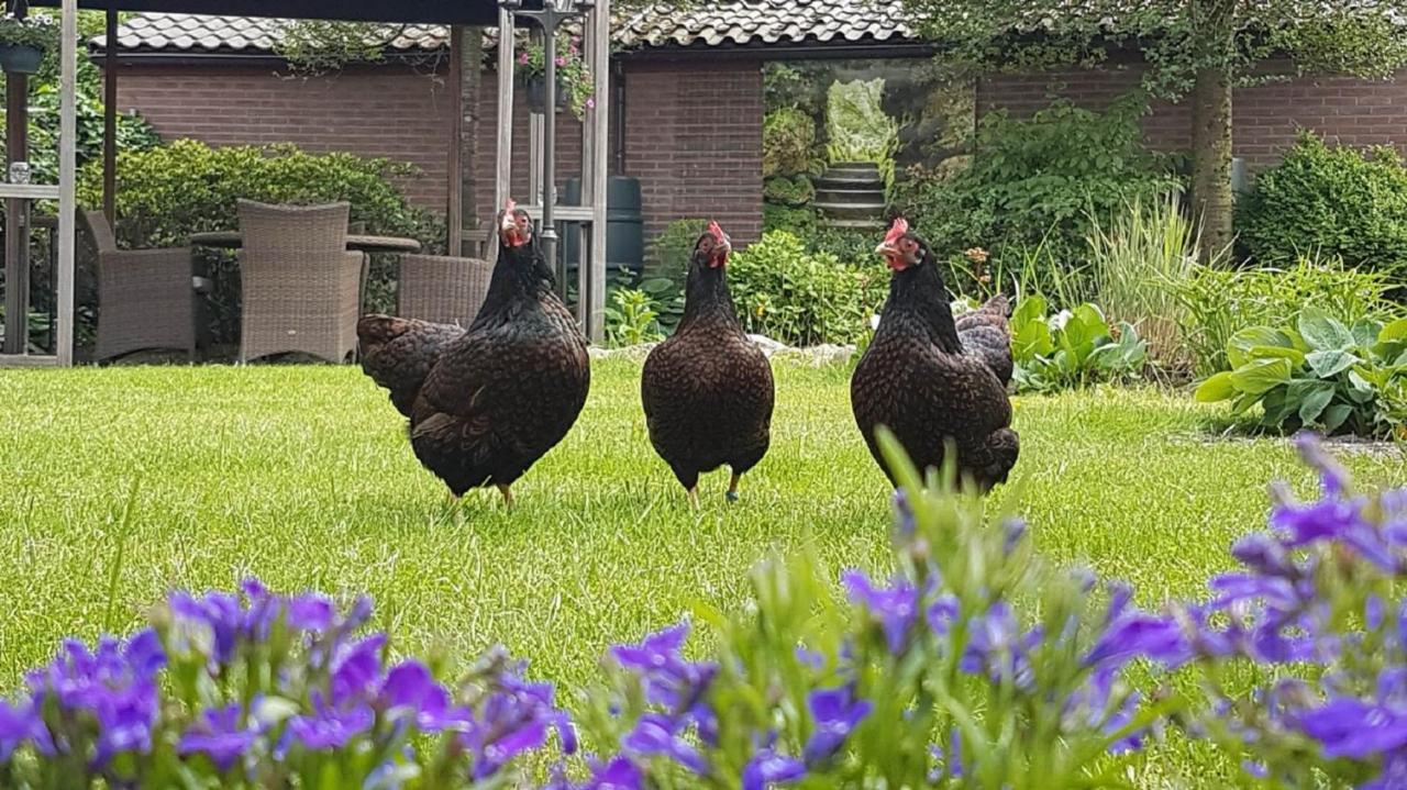 B&B De Loenense Bossen المظهر الخارجي الصورة